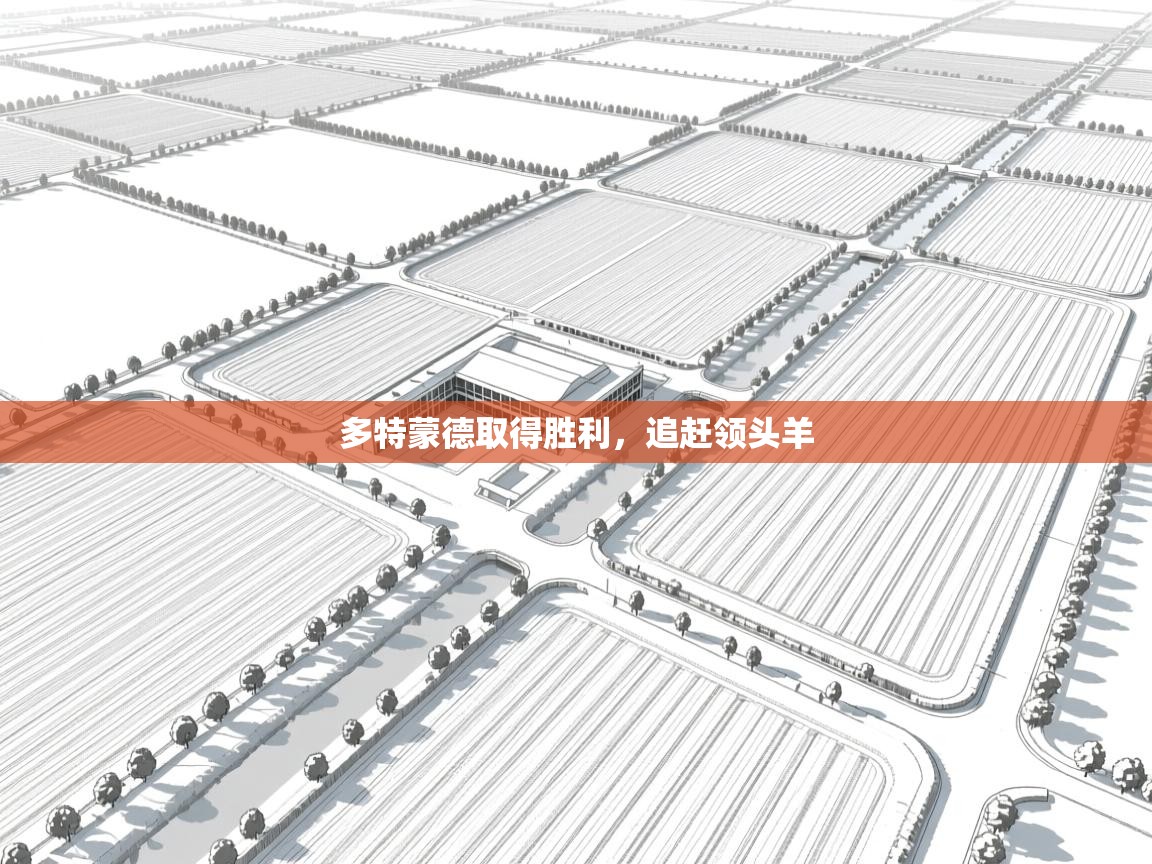 多特蒙德取得胜利，追赶领头羊  第2张