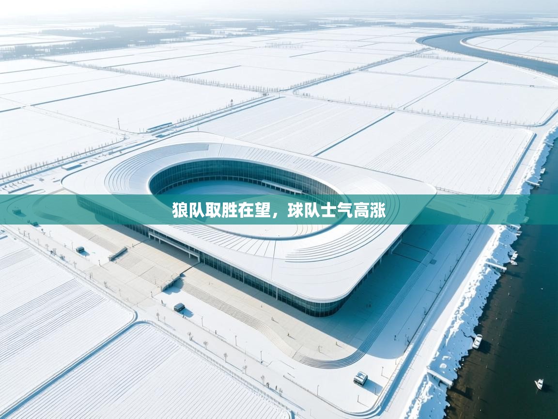 狼队取胜在望，球队士气高涨